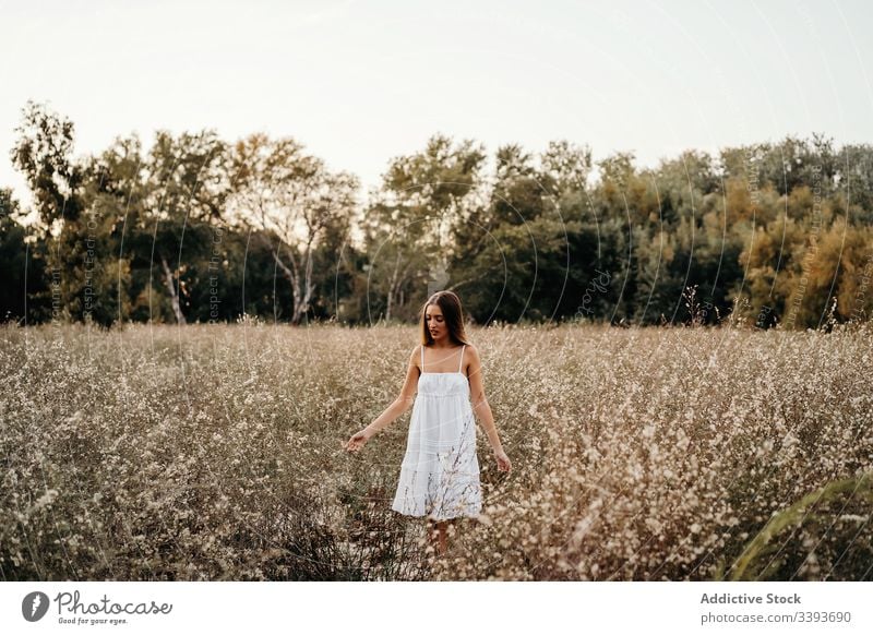 Tender lady standing in blooming field woman nature blossom white dress harmony gentle female summer tender young flower freedom carefree serene weekend idyllic