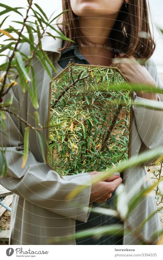 Closeup of woman holding mirror with sea buckthorns berries bushes reflection, selective focus trench hands female faceless tree concept spring agriculture