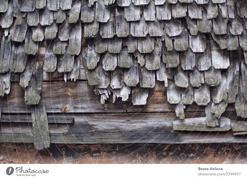 The ravages of time: dilapidated shingle roof lifetime limited Shingle roof Nature building materials Ecological farm Black Forest Exterior shot