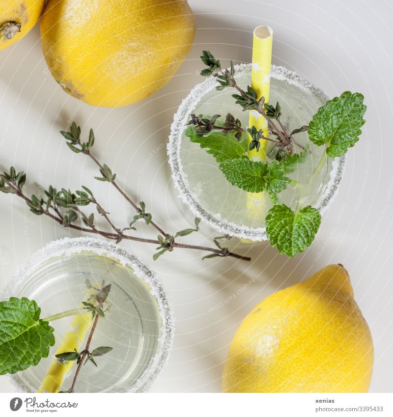 two glasses of lemonade with thyme, lemon balm and sugar rim Organic produce vitamin water aromatic water Fresh infuse Glass Cold drink Lemonade Drinking water