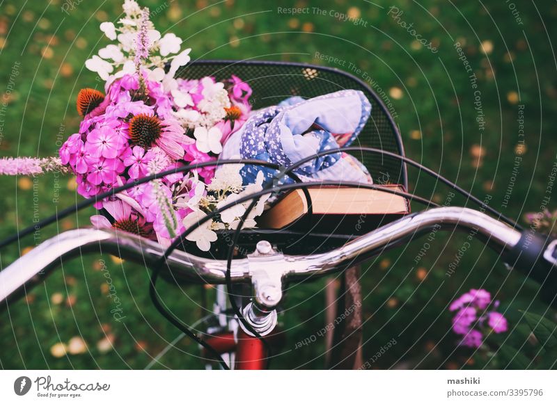 retro bicycle with bouquet of flowers, book and blanket. Summertime picnic on weekend, spending vacations in countryside summer read bike vintage spring basket