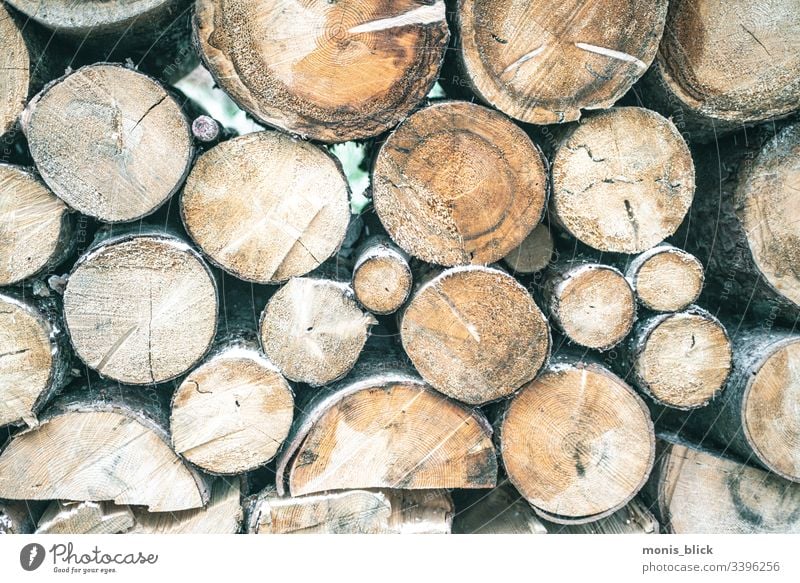 Wood stacked felled tree trunks Tree Tree trunk Tree bark Branch Forest Nature Climate change Climate protection Deserted Environment Woodcutter stacked trees