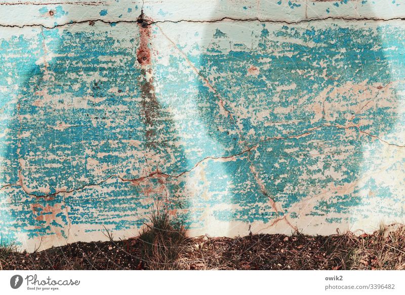 personae non grata Shadow Wall (building) Colour Old Flake off Turquoise dilapidated Ravages of time persons Detail Structures and shapes Derelict Decline