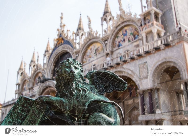 Semolina Lion Statue St. Marks Square Venice Colour photo Exterior shot Italy Landmark Vacation & Travel Tourist Attraction Deserted Architecture Day Port City
