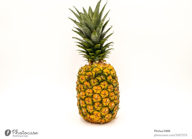 Pineapple, a ripe, fresh, whole fruit ananas background color image cut out descriptive details diet dieting food freshness front front view green grocery