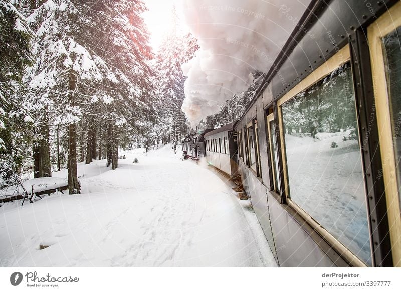 Harz narrow-gauge railway in winter Narrow gauge railroad Vacation & Travel Railroad tracks Freedom steam cloud rails Snow layer Winter Nature Beautiful weather