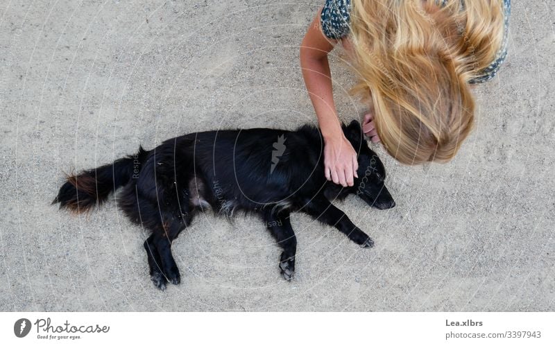 A woman petting a street dog affectionately Blonde Summer animals Love of animals Pet Homeless Street Asia Thailand out person pebble Lanes & trails