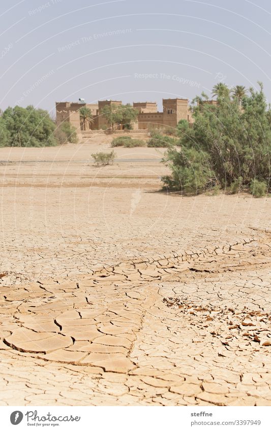 dried out ground with oasis in the background Desert aridity parched Drought Climate change Oasis Morocco lack of water