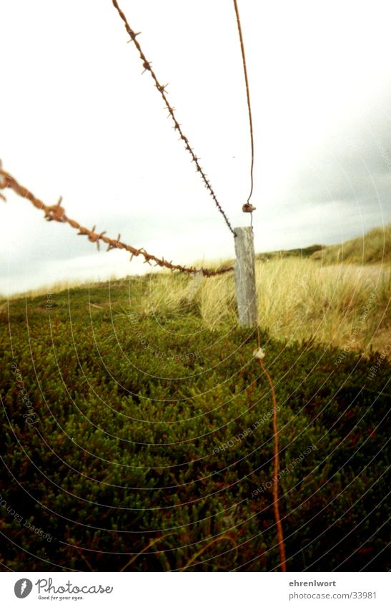 barbed wire fence Barbed wire Fence Sylt Vacation & Travel Environmental protection Loneliness Clouds Gray Far-off places Beach dune Rust