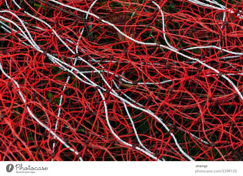 Twisted net Net Network Fishing net Catch Muddled Complicated fish Fishing (Angle) fishing Fishery Knot Catching net Colour complexity gear Red White