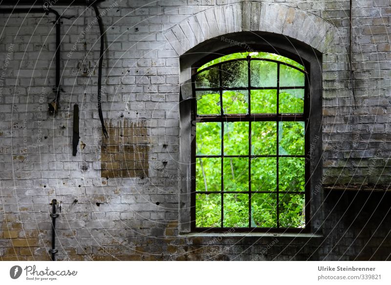 Green II / AST 5 Beelitz Redecorate Nature Summer Bushes Garden Park inspire Industrial plant Manmade structures Building Architecture Wall (barrier)