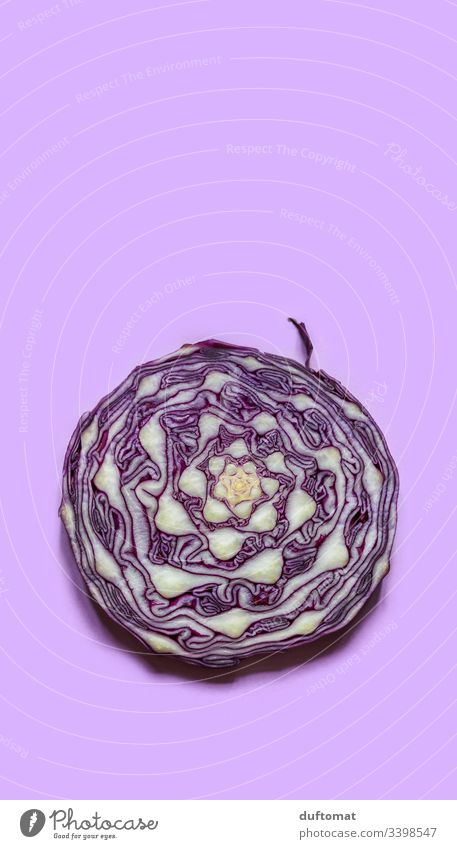 red cabbage Dish Macro (Extreme close-up) macro shot Wedding dress purple Subdued colour Blue Pink Slice Geometry Nature Natural Love of nature