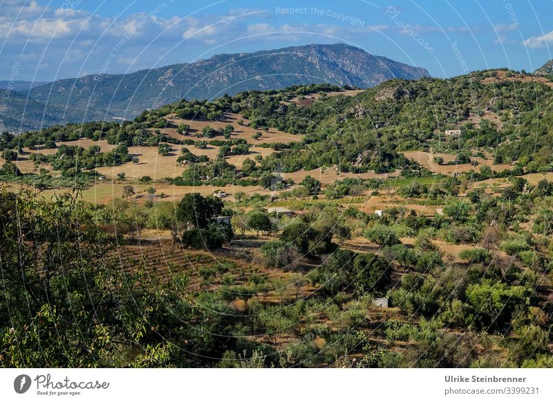 Landscape in Sardinia mountains huts fields acre Agriculture rural Huts chain of hills hilly wooded Nature green Environment