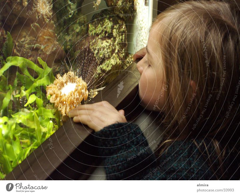 Sea urchins close up Zoo Aquarium Child Girl Green Algae Discover Human being Fish Water Glass Observe