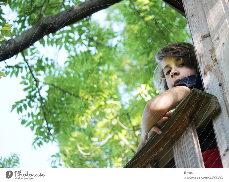 Young tree guard Child Boy (child) portrait masculine Tree play scaffold Looking Lean Long-haired rebelled covert Upper arm Skeptical test Sit Worm's-eye view