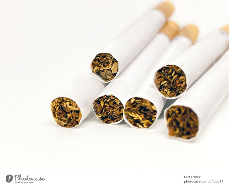 close-up view of a group of cigarettes concept cancer nobody toxic background unhealthy habit smoke tobacco closeup addiction ashtray backgrounds bad habit