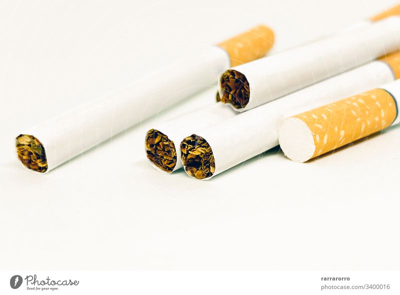 close-up view of a group of cigarettes concept cancer nobody toxic background unhealthy habit smoke tobacco closeup addiction ashtray backgrounds bad habit