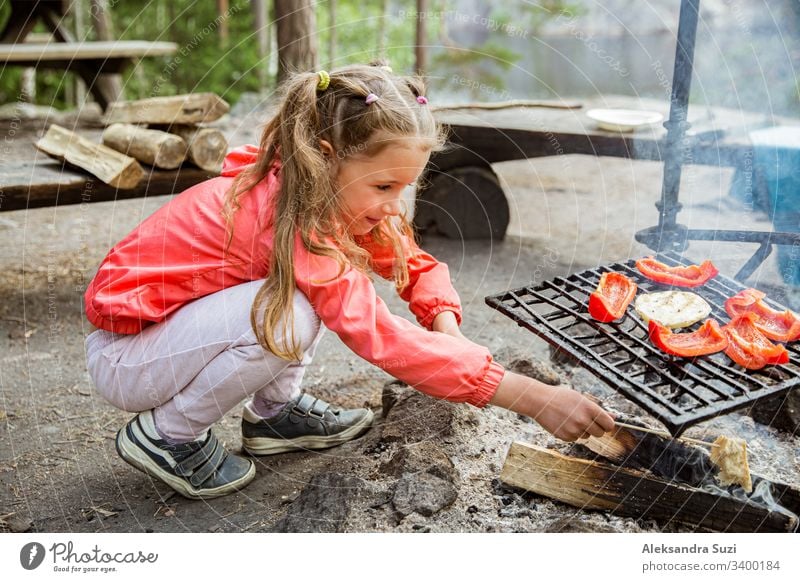 Man and his little daughter having barbecue in forest on rocky shore of lake, making a fire, grilling bread, vegetables and marshmallow. Family exploring Finland. Scandinavian summer landscape.