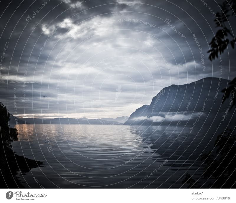 the rain has gone Water Clouds Bad weather Fog Mountain Fjord Gray Hope Horizon Norway Subdued colour Exterior shot Deserted Copy Space top Twilight