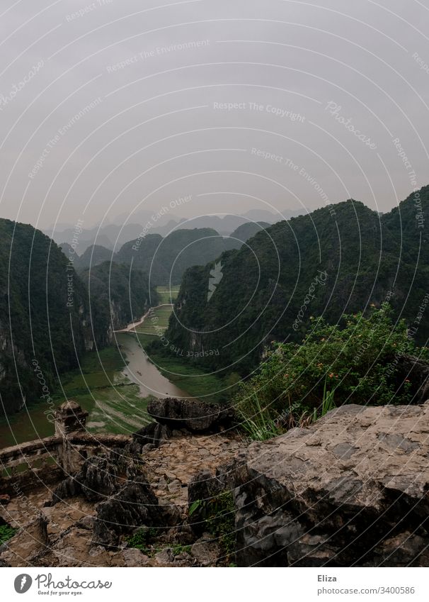View of green landscape and rice fields from Hang Mua Viewpoint in Ninh Binh, Vietnam Vantage point mountain Valley Green Landscape wide Tourism