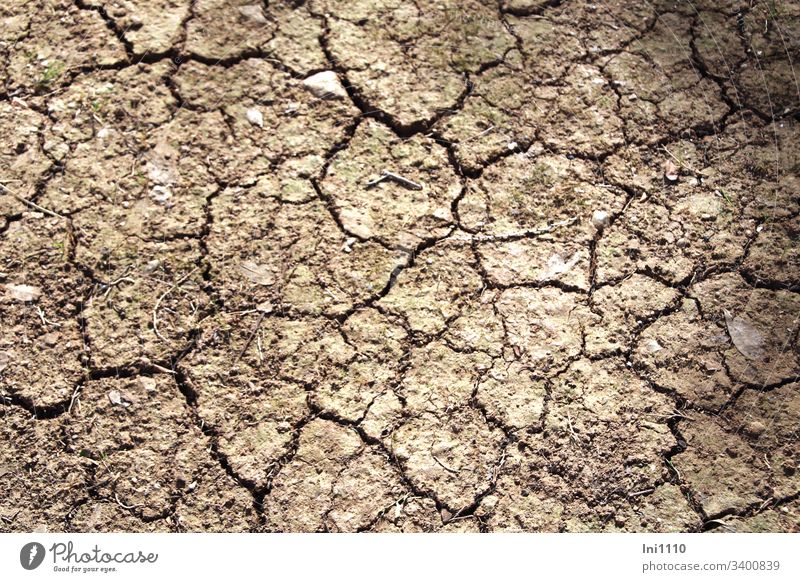 parched ground with cracks in a park Environment aridity Climate change lack of water cracks in the floor structure Majorca edit Garden care Deserted Beige