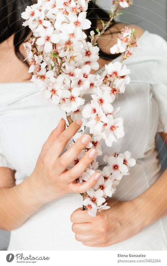 Unrecognizable woman hand holding a branch of almond blossoms. Amazing beginning of spring. Selective focus. Femininity, feminist and feminine concept. fingers