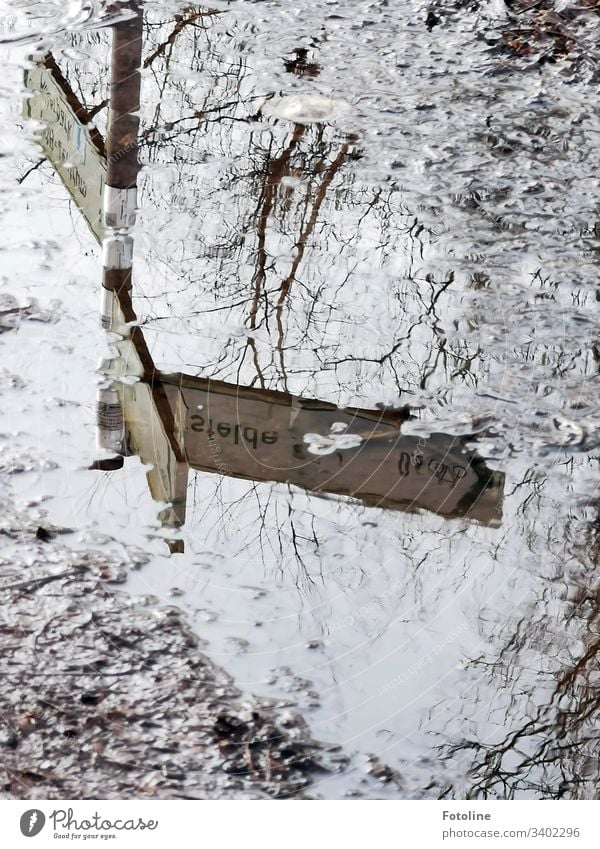It's this way - or the reflection of a signpost and some trees and branches in a puddle surrounded by slush and mud Road marking Direction Arrow