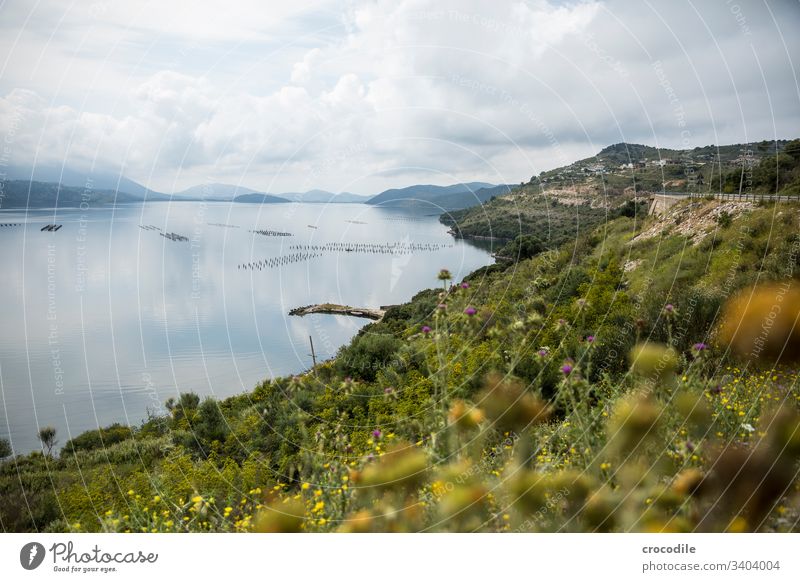 Coastal road Albania Ocean Travel photography ionic sea seascape Seafood Mussel aquaculture mountains