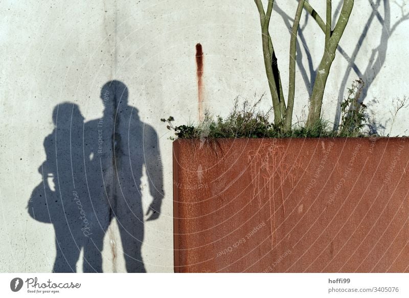Shadow on the wall - couple with tree Couple Friends Affection Love Lovers empathy Forever Young Relationship Infatuation Related Happy Harmonious In pairs Man