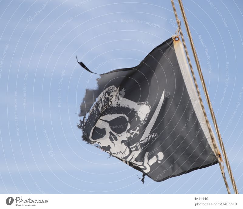 tattered black and white pirate flag on a rope in front of a blue sky Flag rope Pirate Hat black background skull eye patch Sabre Sword crossed bones 2 ropes