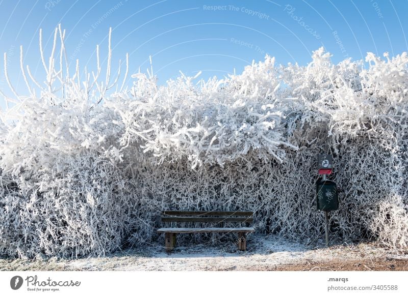 Freezing bench Snow Winter Bench Calm Peaceful Relaxation Nature Landscape Ice Frost chill Climate Environment Freeze bush Hedge Blue sky Beautiful weather