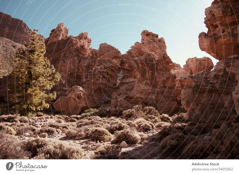 Colorful rocks in deserted area on sunny day cliff plant shrub blue sky nature landscape stone scenic travel wild adventure canyon breathtaking tranquil