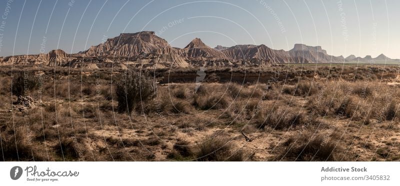 Dry plants growing in desert grass dry mountain badlands panorama sunny daytime nature landscape bardenas reales navarre spain scenic hill picturesque