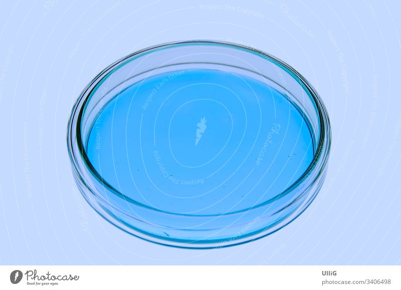 Single isolated petri dish with blueish jellylike matter in a re-enacted lab situation. bacteria bacterium breeding bacteriology virus virology virus alert