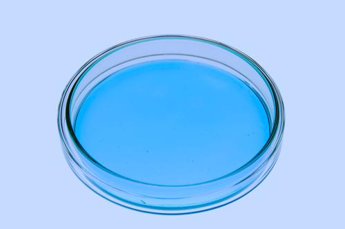Single isolated petri dish with blueish jellylike matter in a re-enacted lab situation. bacteria bacterium breeding bacteriology virus virology virus alert
