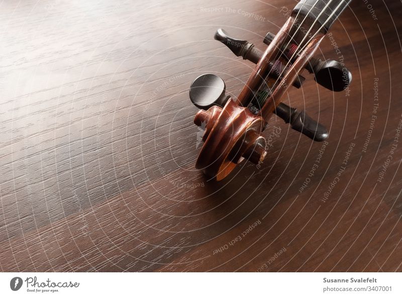 Violin or fiddle peghead on table Music Colour photo Fiddle Peghead Tuning pegs Musical instrument String instrument Stringed instrument Wood