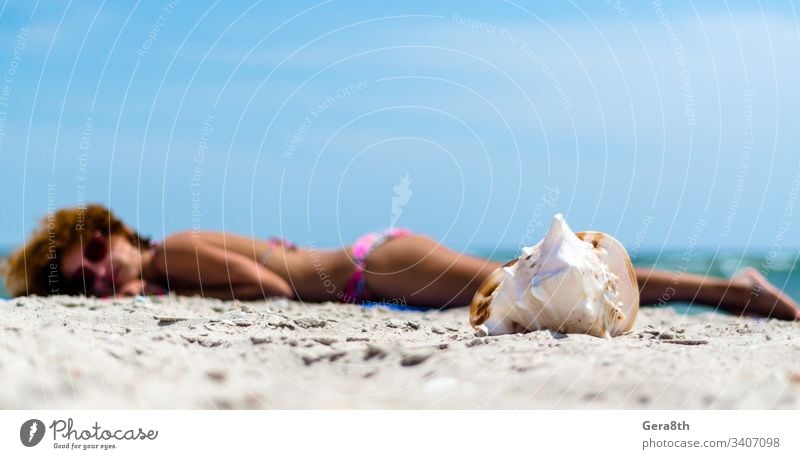 large ocean shell on the sand against the background of a tanning girl in a  colorful swimsuit on the beach - a Royalty Free Stock Photo from Photocase