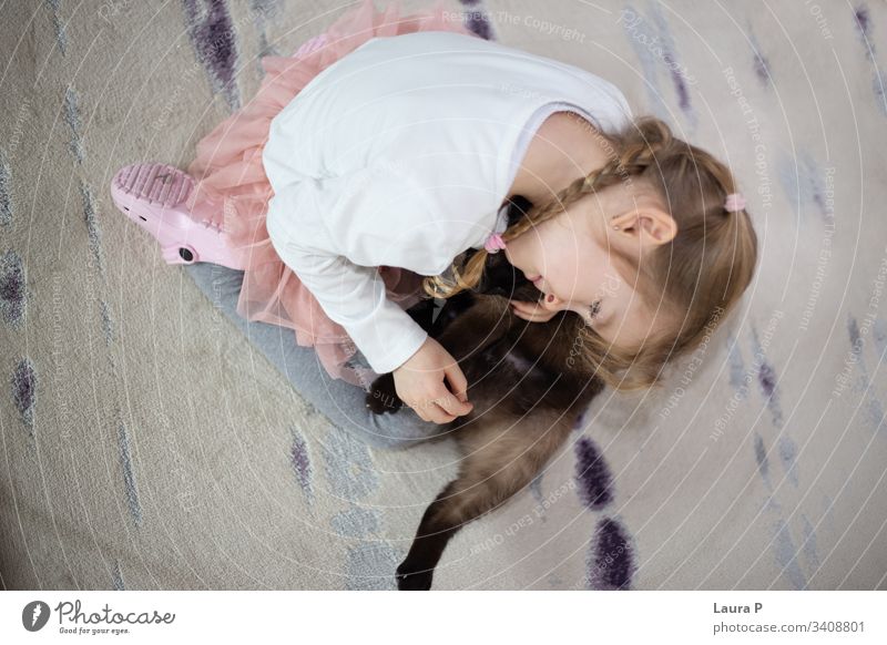 Blonde little girl hugging her cat child blonde love pet animal cute sweet braided hair companion owner kid Creativity young Playing Child Infancy Cat Happy Joy