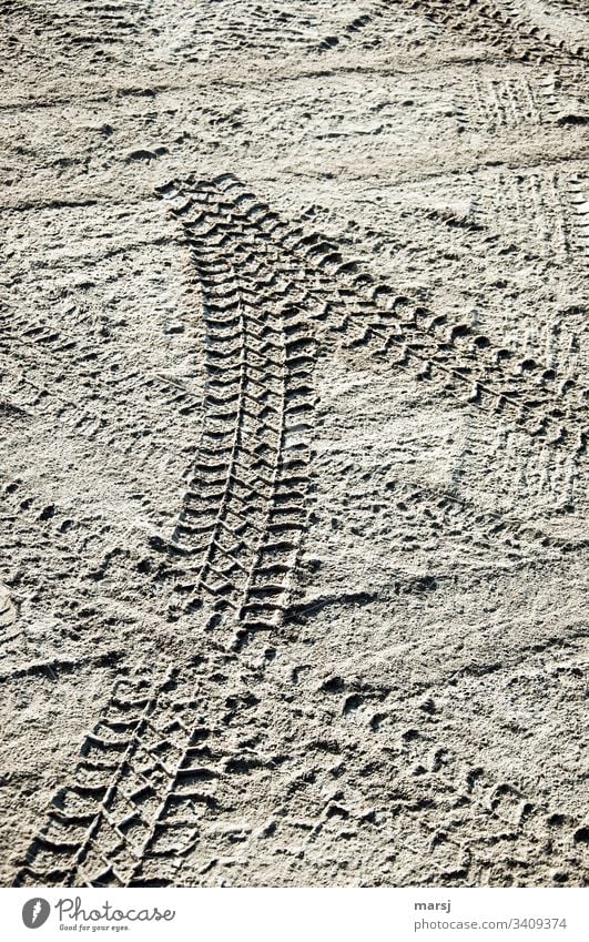 Car tracks in the dirt Skid marks filth entrenched lasting impressions Profile Show profile have a profile Tracks Imprint Tire tread Structures and shapes Sand