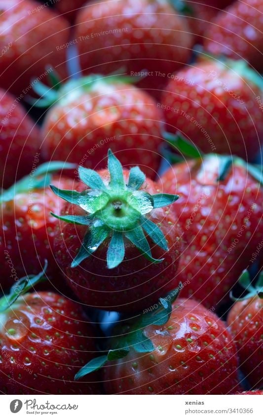Fresh strawberries Strawberry Berries Fruit Organic produce Vegetarian diet Healthy Eating Vitamin Picked Sense of taste Breakfast Food photograph xenias