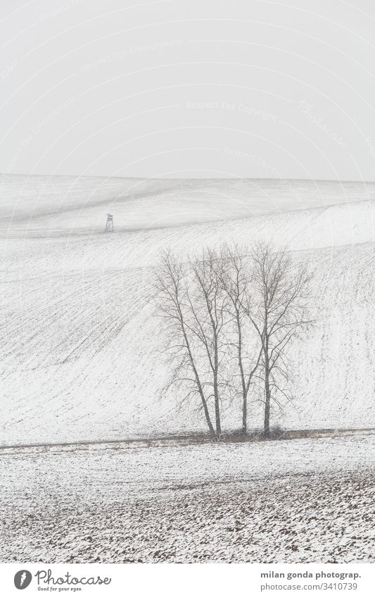 Rural landscape of Turiec region in northern Slovakia. countryside rural fields hunting lookout tree winter snow nature