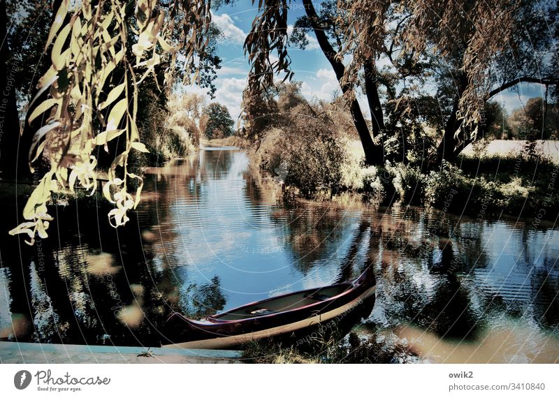 Small Spreewald near Wahrenbrück Landscape River tranquillity silent Peaceful Idyll Water boat Rowboat Tree Twig Reflection Calm Deserted Environment Sky Forest