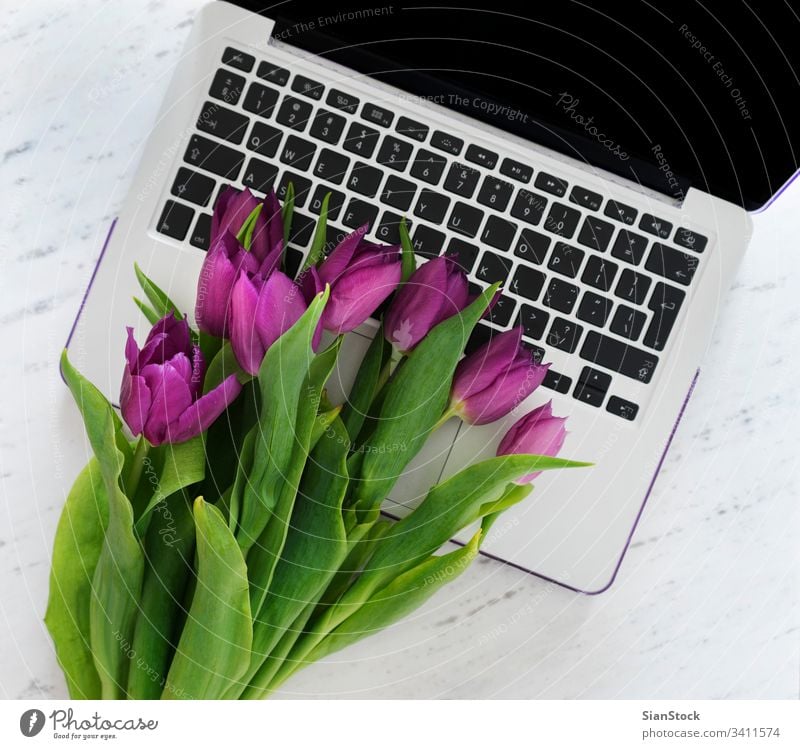 Computer with bouquet of purple tulips laptop computer background spring white design business office desk space work table flowers natural up copy floor green