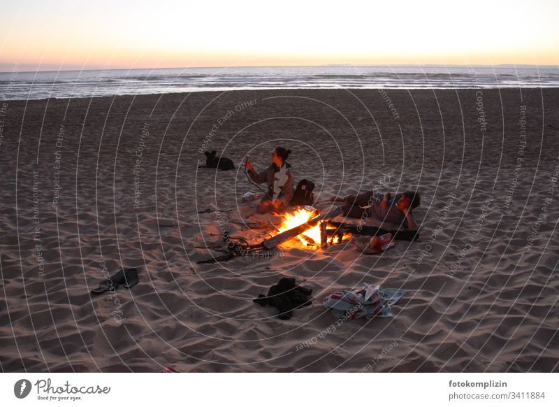 two teenagers at beach campfire Beach Fire Night Fireplace Friendship Human being Ocean Burn Boy (child) Girl Dog Flame Blaze Summer feeling Vacation & Travel