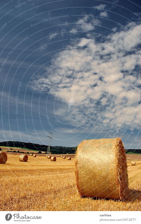 Straw rollers maintain minimum distance Bale of straw Straw rolls Agriculture Summer Autumn Field Landscape Clouds Harvest Yellow Grain Warmth Beautiful weather
