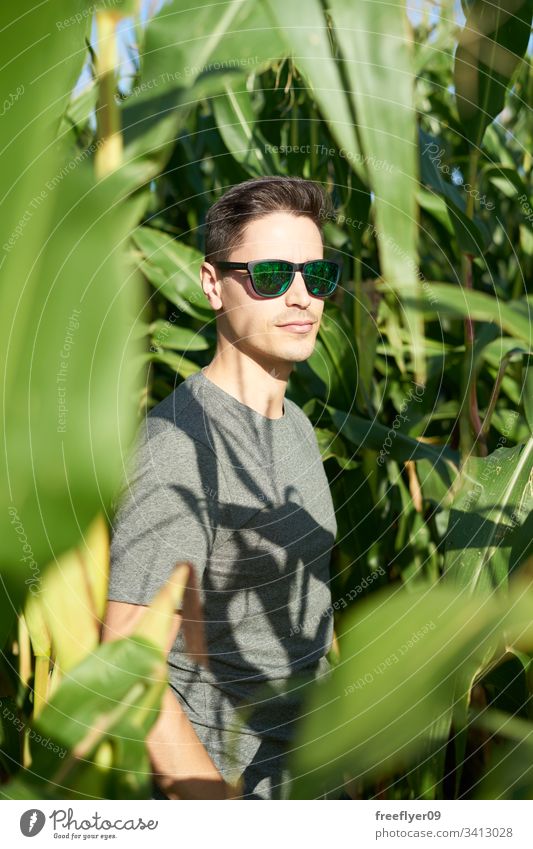 Young man with sunglasses on the interior of a corn field ground foliage outdoors person people leaf closeup agriculture row panoramic season production