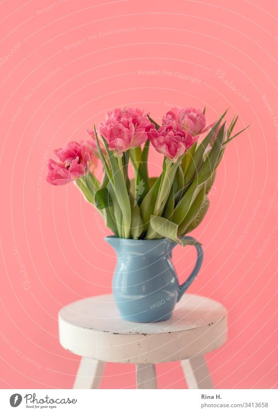 Tulips in a vase tulips flowers Spring Vase window light Still Life Bright Deserted Bouquet pink Colour photo Blossom Blossom leave Ease Decoration