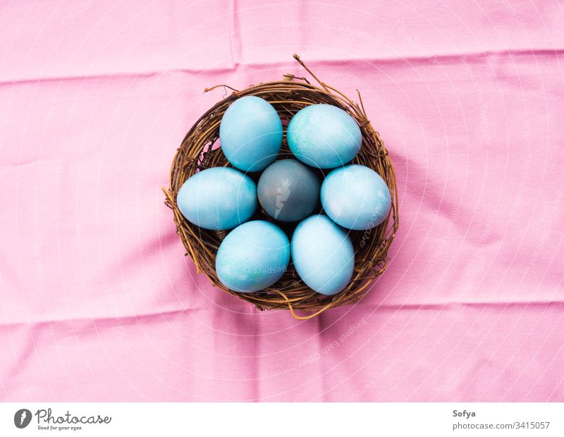Colorful blue boiled easter eggs in nest on pink background colorful pastel above happy hard hen hunt minimal ornament rustic greeting season spring symbol