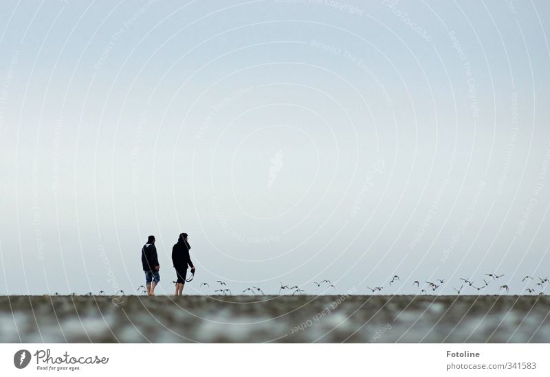 Rømø, two men and the mud flats. Human being Masculine Man Adults 2 Environment Nature Animal Elements Earth Coast Beach North Sea Bird Flock Natural Mud flats