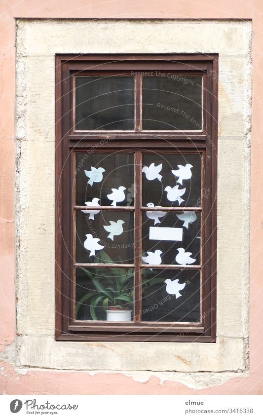 white paper doves behind a window Paper Pigeon White white doves Window Glass window Bird symbol Dove of peace House (Residential Structure) Desire wish